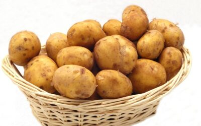 Potatoes: what would Norwegians do without them?