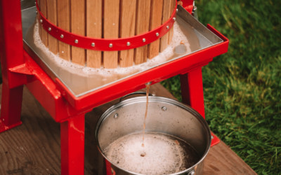 Cider production; a century old tradition revived and alive in Norway
