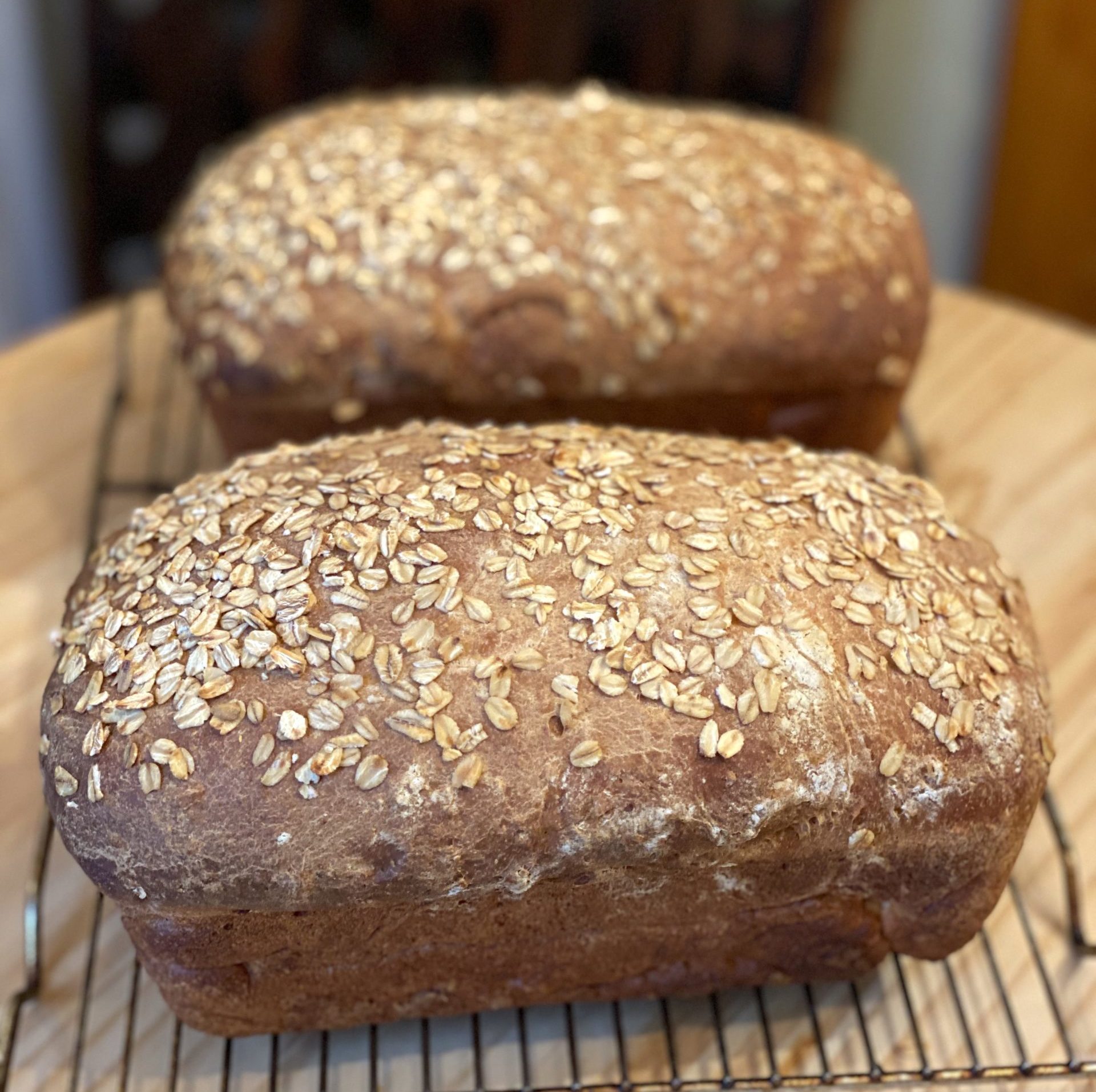 Honey Wheat Bread {From Scratch Old Fashioned Bread Recipe}